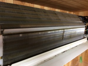 thumbnail_IMG_1172 thumbnail_IMG_11721
